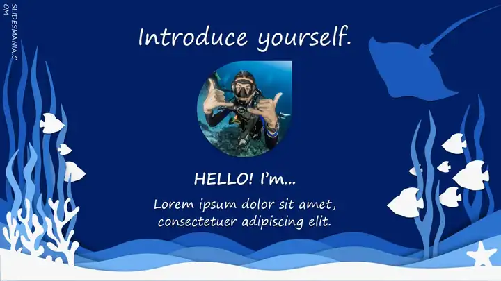 Sebastian, ocean slides theme.