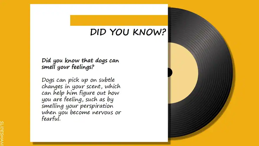 Sinatra Free Template for Google Slides or PowerPoint