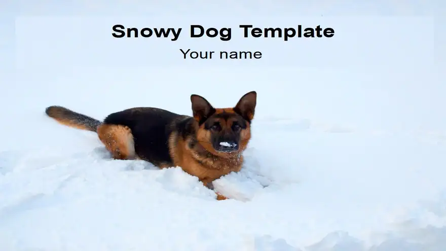 Snowy Dog Template