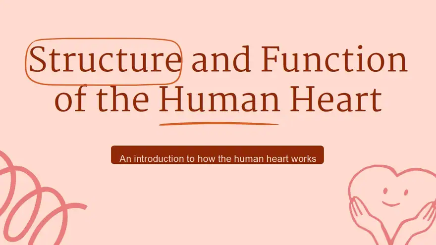 Structure and Function of the Human Heart Slides