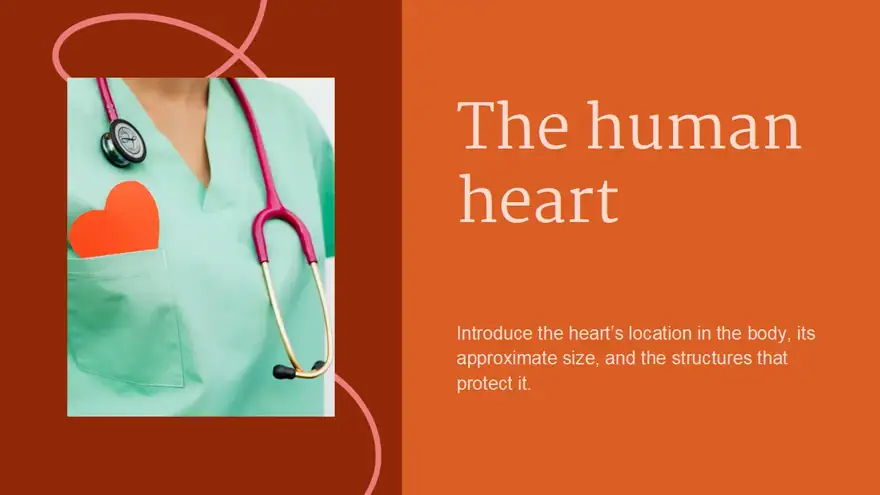 Structure and Function of the Human Heart Slides