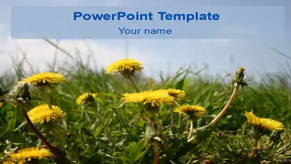 Summer Dandelion Template