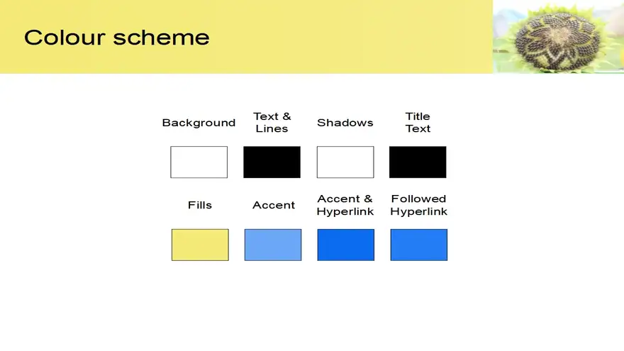 Sunflower Close-up Template