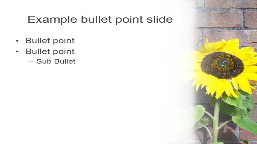 Sunflower PowerPoint Template 2