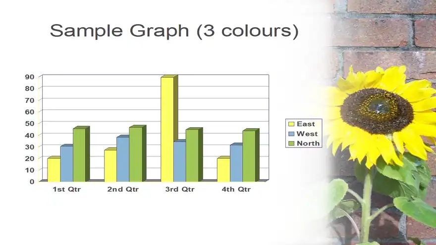Sunflower PowerPoint Template 2