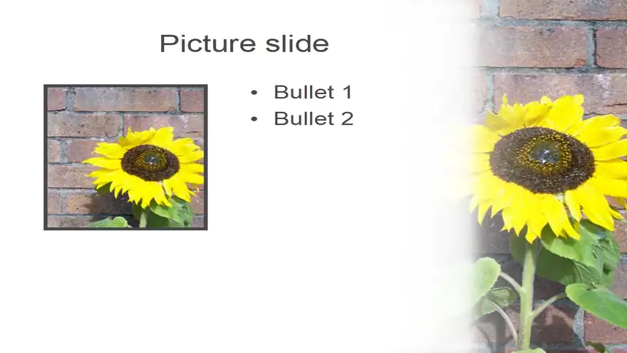 Sunflower PowerPoint Template 2