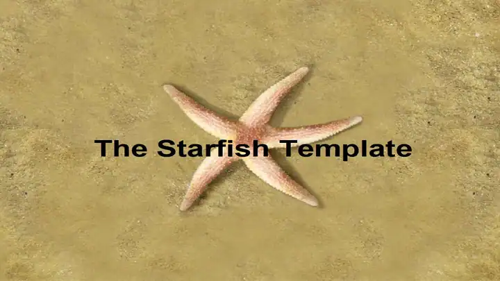 The Starfish PowerPoint Template (photo)