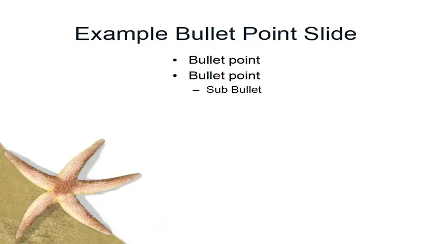 The Starfish PowerPoint Template (photo)