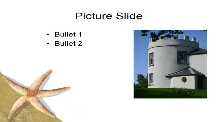 The Starfish PowerPoint Template (photo)