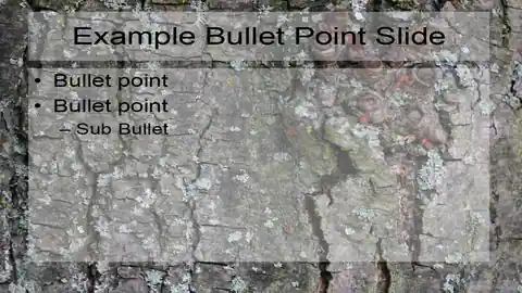 Tree Bark PowerPoint Template