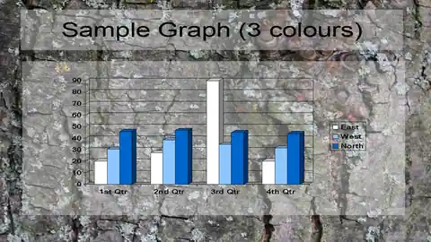 Tree Bark PowerPoint Template