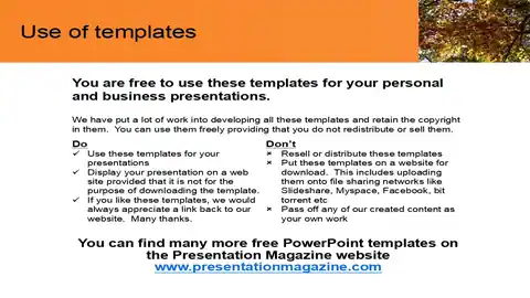 Tree in the Fall PowerPoint Template