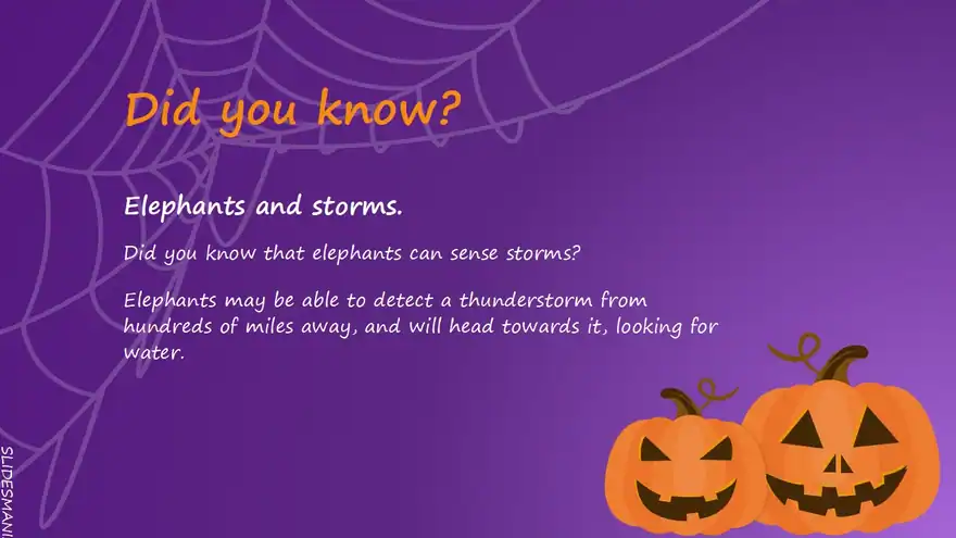 Trick or Treat, Halloween slides backgrounds.