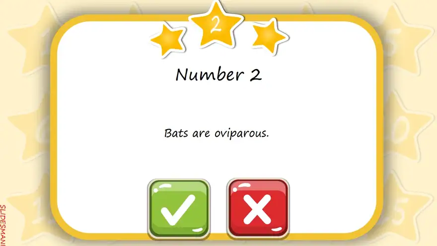 True or False, interactive slides template.