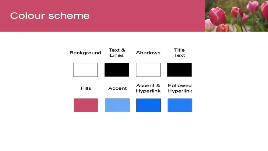 Tulips PowerPoint Template