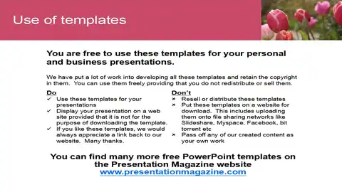 Tulips PowerPoint Template