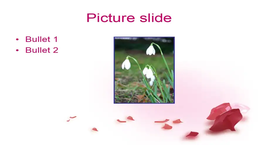 Valentine Petals