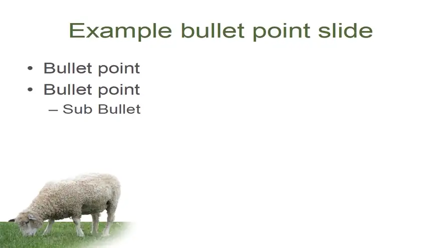 Woolly Sheep PowerPoint Template