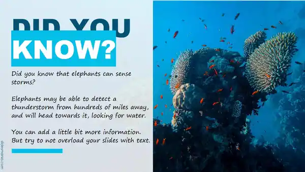 World Oceans Day free PowerPoint template.