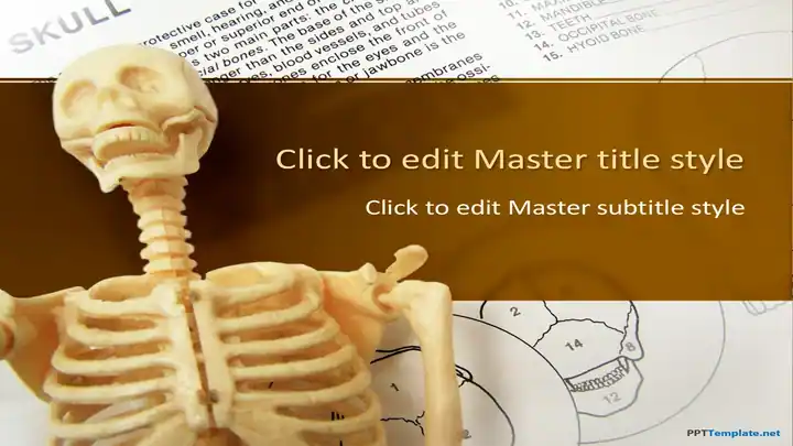 10073-01-anatomy-ppt-template