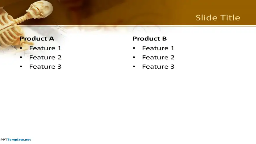 10073-01-anatomy-ppt-template