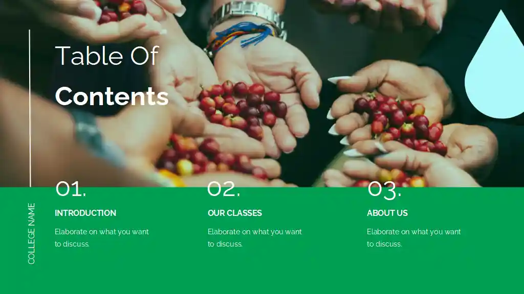 Agriculture Major for College: Environmental Science Slides