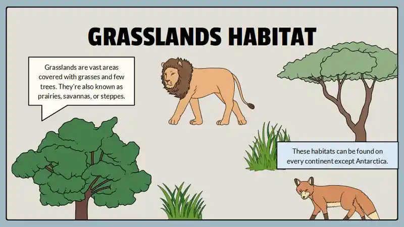 Animal Habitats Science Lesson for Elementary