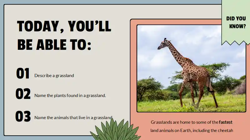 Animal Habitats Science Lesson for Elementary