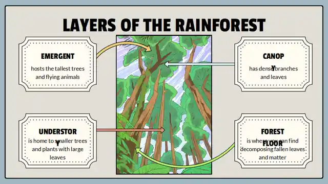 Animal Habitats Science Lesson for Elementary