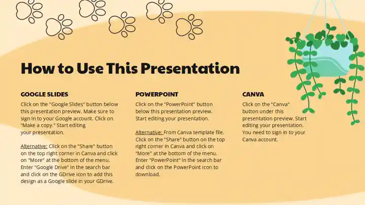 Cute Cat Activity Lesson Plan Slides