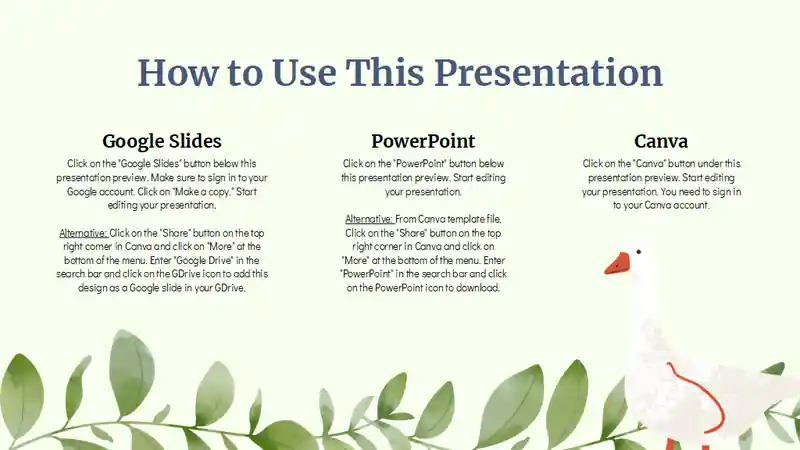 Cute Illustrated Fables Storybook Slides