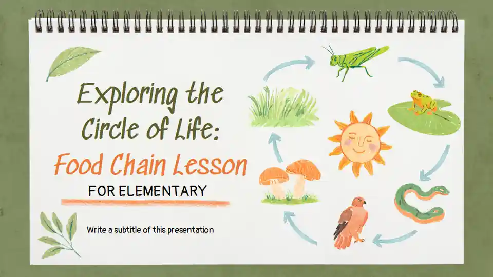 Exploring the Circle of Life: Food Chain Science Lesson for Elementary