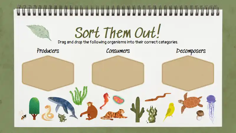 Exploring the Circle of Life: Food Chain Science Lesson for Elementary