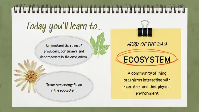 Exploring the Circle of Life: Food Chain Science Lesson for Elementary
