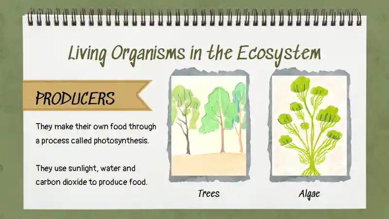 Exploring the Circle of Life: Food Chain Science Lesson for Elementary