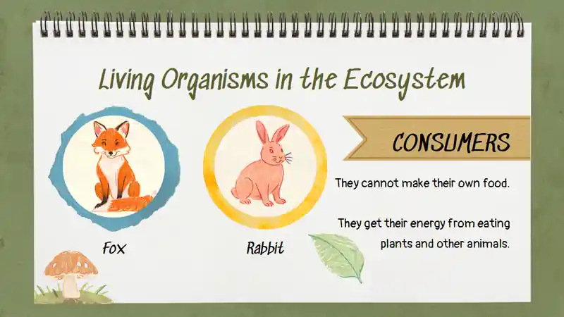 Exploring the Circle of Life: Food Chain Science Lesson for Elementary