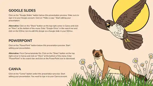 Food Webs Lesson for Elementary