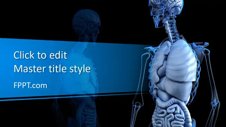 Free Anatomical PowerPoint Template