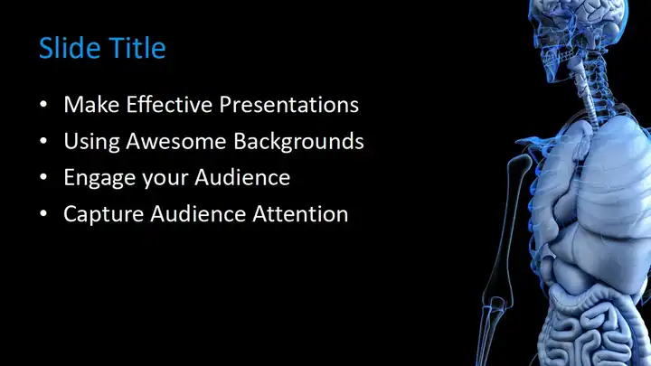 Free Anatomical PowerPoint Template