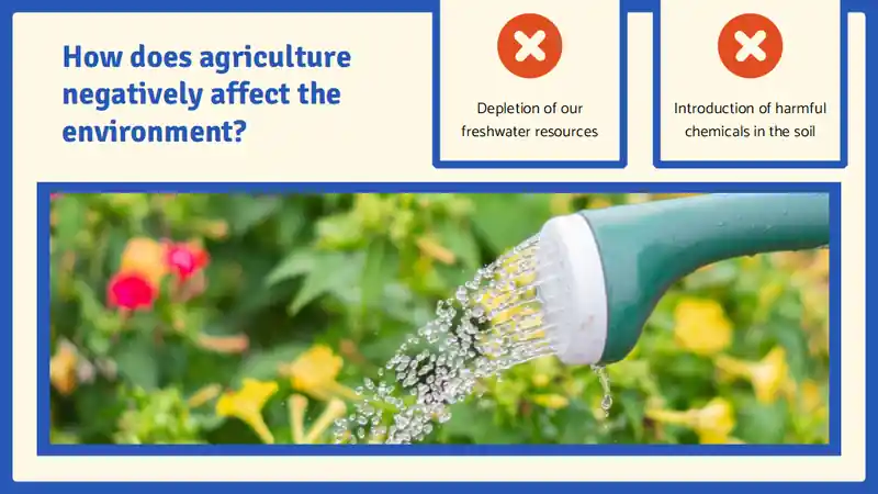 Human Impact on the Environment Science Lesson for High School
