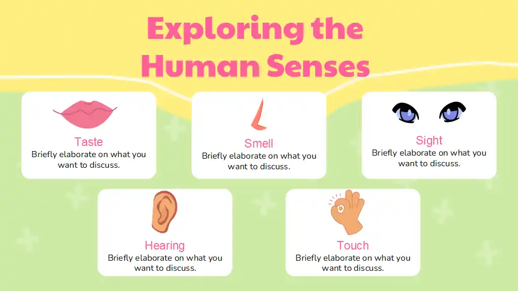 Illustrated Biology Five Senses Slides