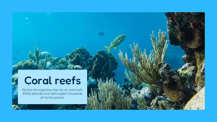 Introduction to Biodiversity Lesson for Middle School