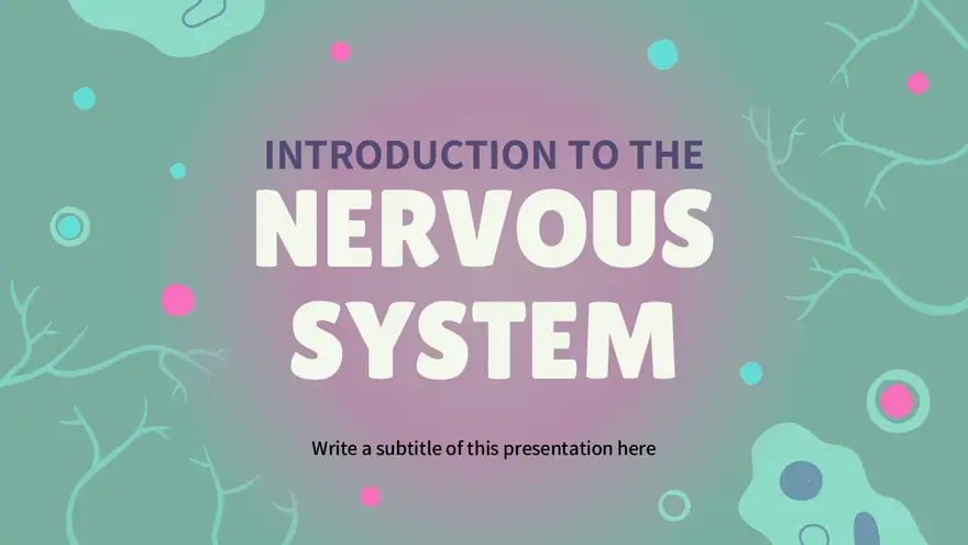 Introduction to the Nervous System Slides