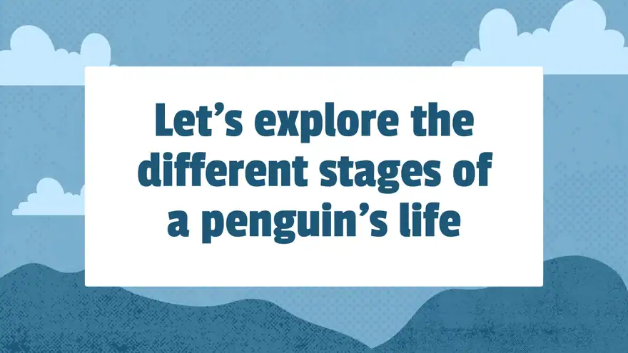 Life Cycle of Penguin Lesson Slides