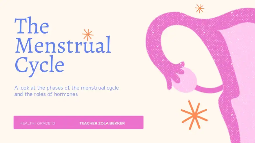 Menstrual Cycle Slides For Grade 10