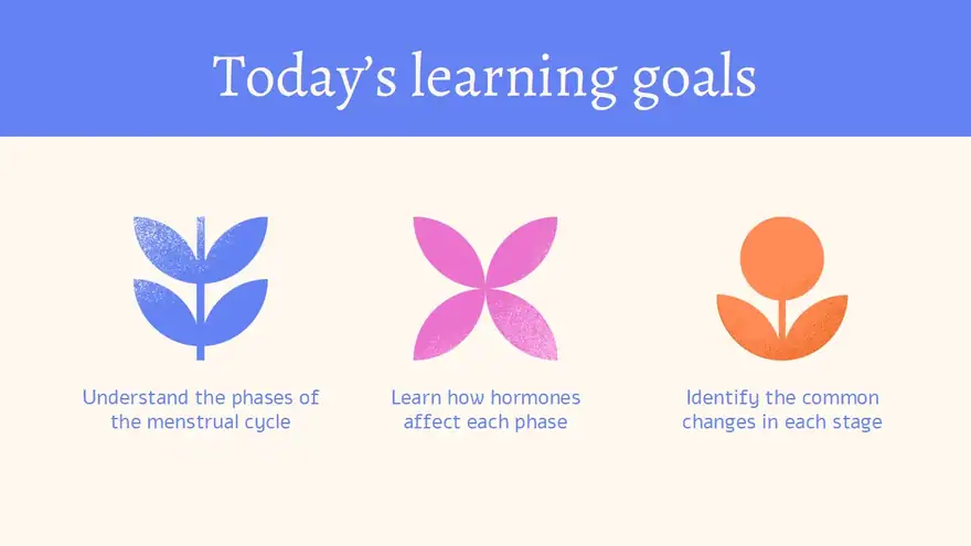 Menstrual Cycle Slides For Grade 10