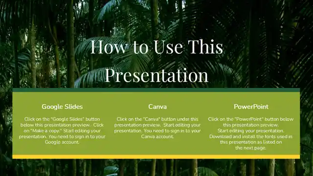 Minimal Biology Rainforest Wildlife Slides