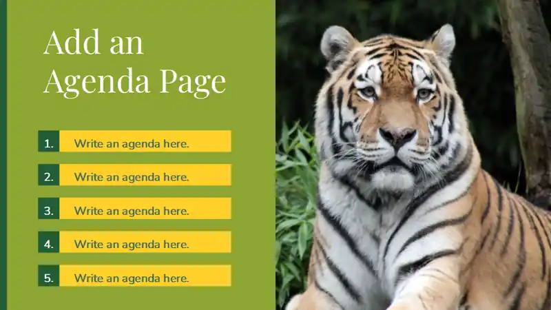 Minimal Biology Rainforest Wildlife Slides