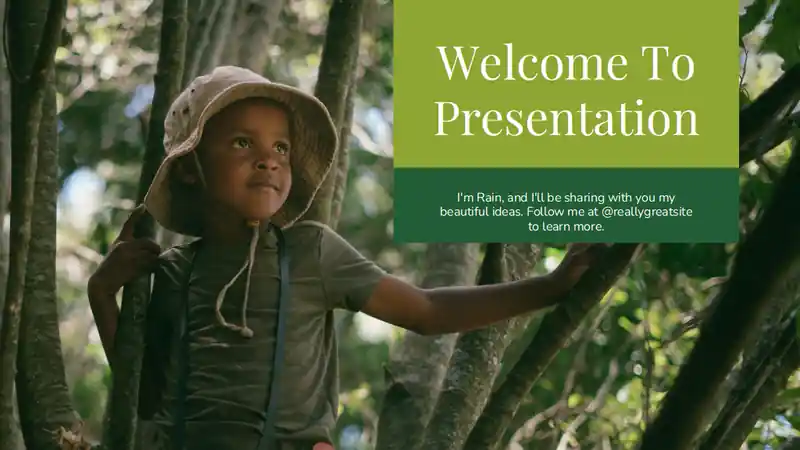 Minimal Biology Rainforest Wildlife Slides