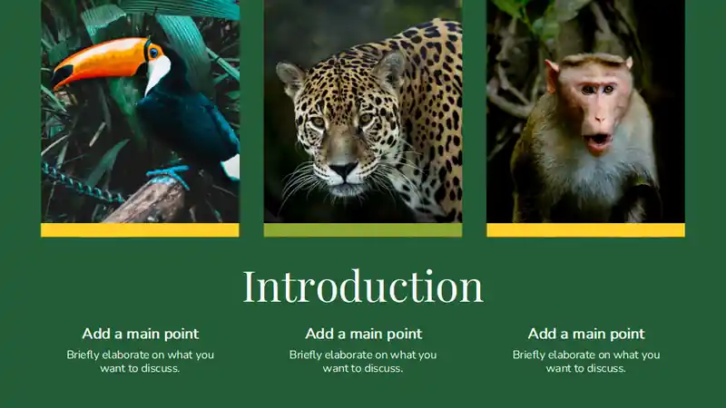 Minimal Biology Rainforest Wildlife Slides